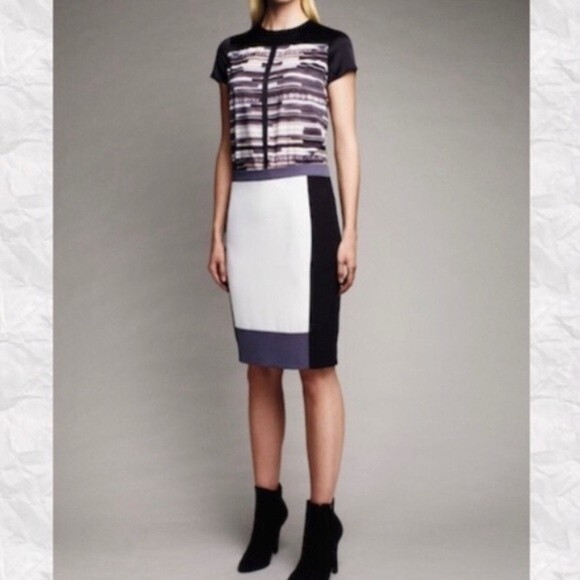 Narciso Rodriguez Colorblock Back Zip Pencil Skirt White Black Steel Size 10 - Picture 10 of 10